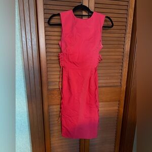 Beautiful Calvin Klein Bright Pink Business or casual Dress (Size 2)